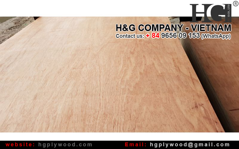 Packing Plywood, AB grade, cheap price