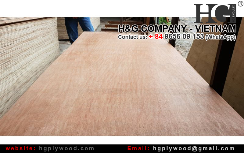 Packing Plywood, AB grade, cheap price