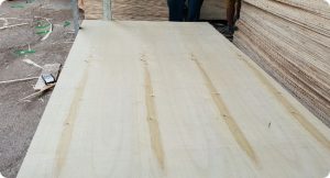 Packing-Plywood-Cheap-5