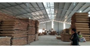 plywood-manufacturer