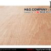 Main products of H&G’s Vietnam packing plywood