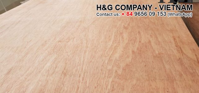 Main products of H&G’s Vietnam packing plywood